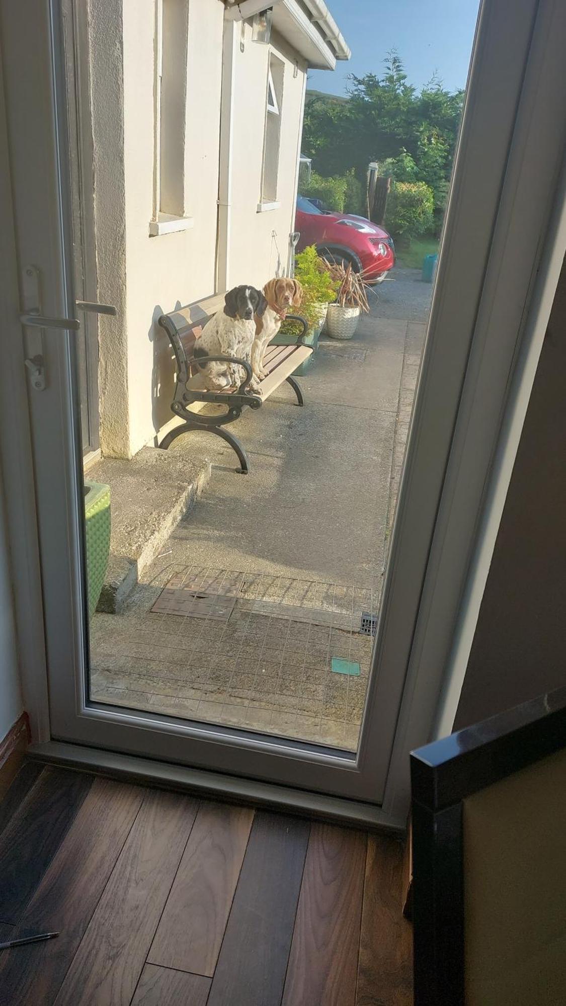 Hillside Haven Apartment Tipperary Ngoại thất bức ảnh