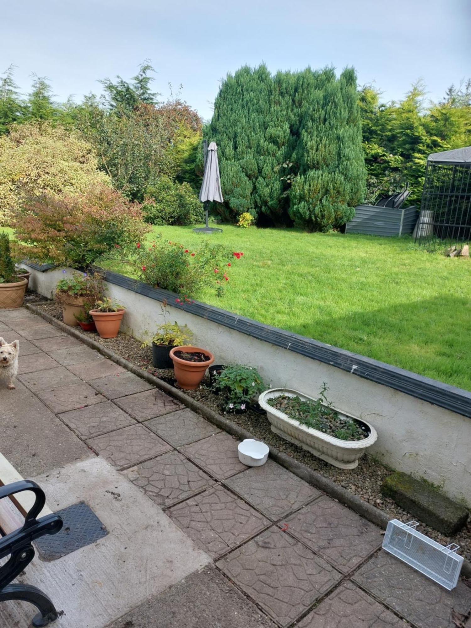 Hillside Haven Apartment Tipperary Ngoại thất bức ảnh